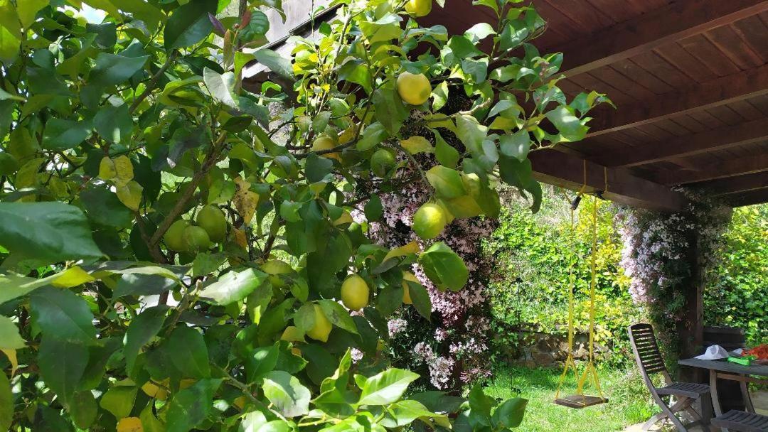 Casa Rural Goiena Mungia Kültér fotó